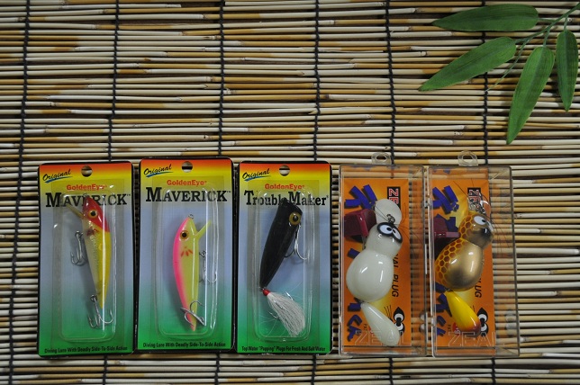 2013�N1��10�����׏��