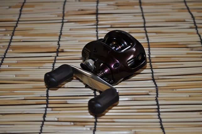 2013�N1��11�����׏��