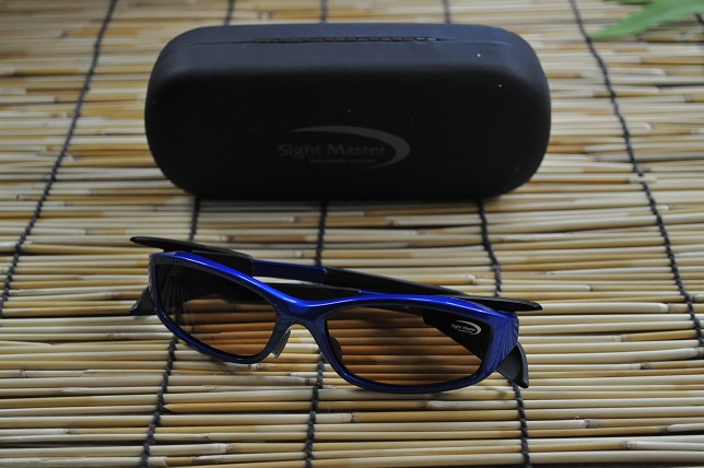 2013�N1��19�����׏��