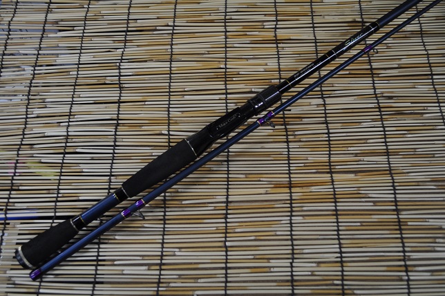 2013�N3��23�����׏��