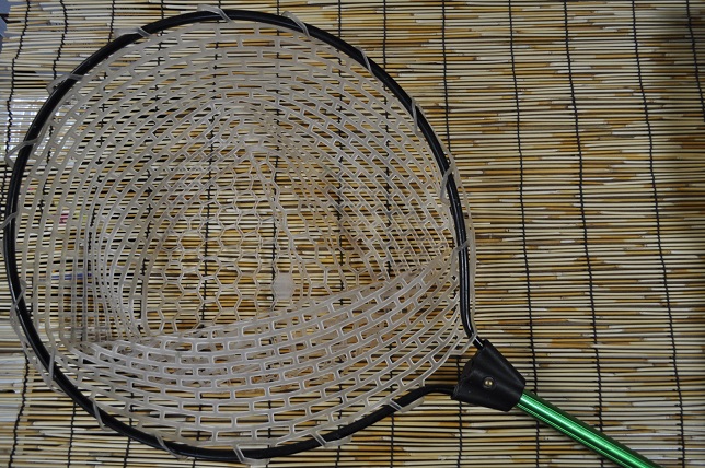 2013�N4��11�����׏��