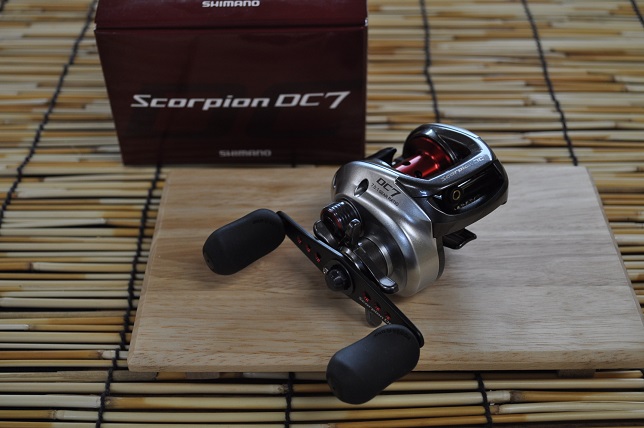 2013�N5��13�����׏��