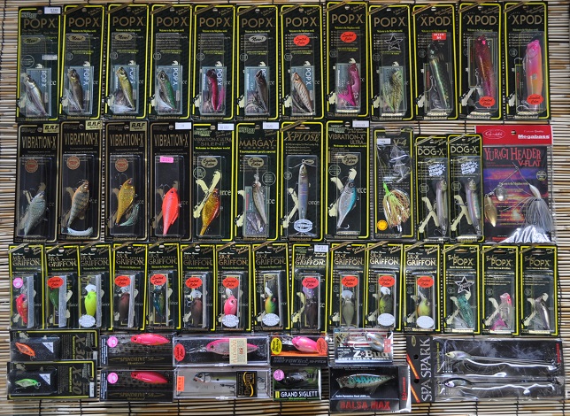 2013�N6��2�����׏��