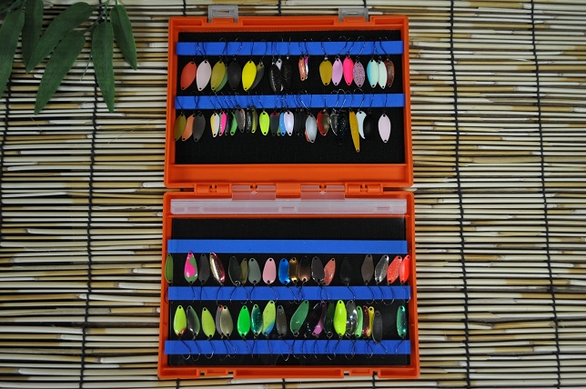 2013�N6��3�����׏��