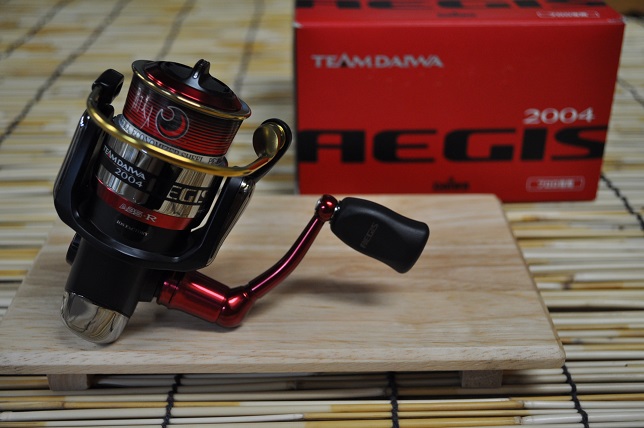 2013�N6��7�����׏��