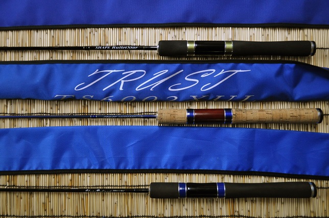 2015�N1��31�����׏��