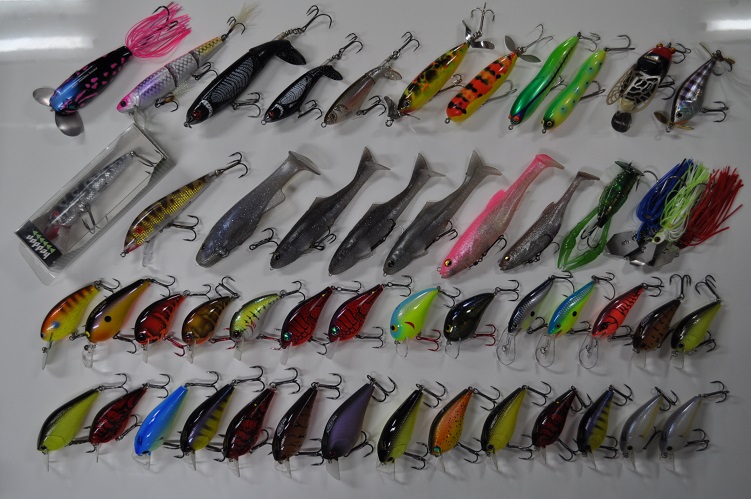 2015年8月15日入荷情報