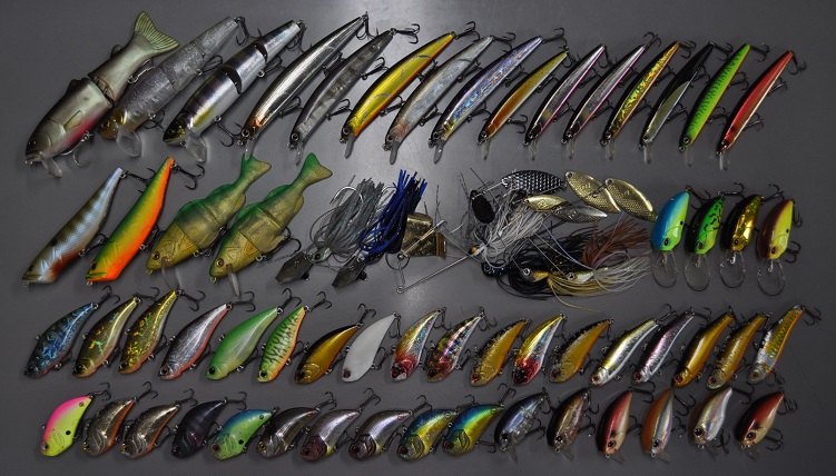 2016�N1��31�����׏��