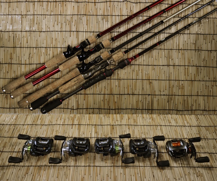 2016�N5��6���l�������