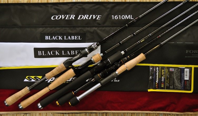 2016�N5��8�����׏��