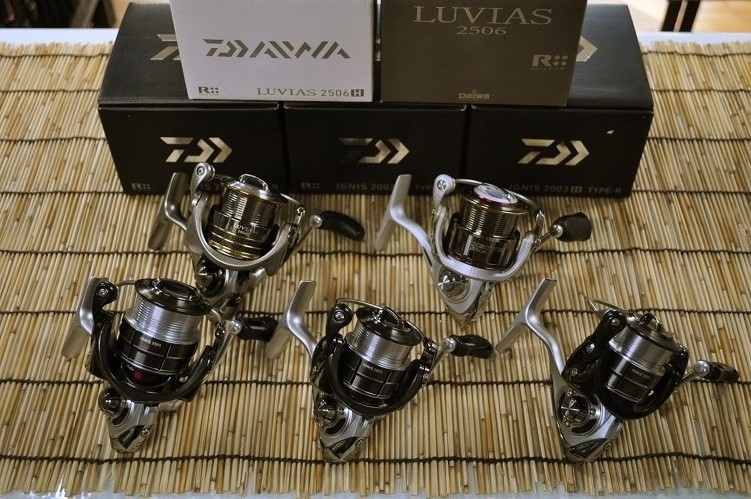 2016�N5��9�����׏��