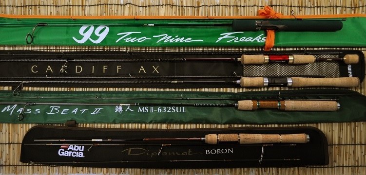 2016�N5��13�����׏��