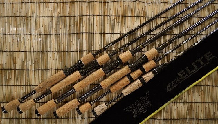 2016�N6��1�����׏��