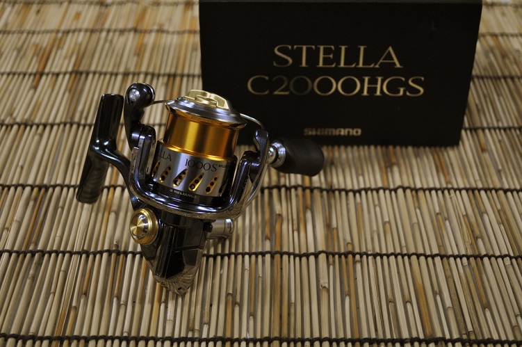 2016�N6��6�����׏��