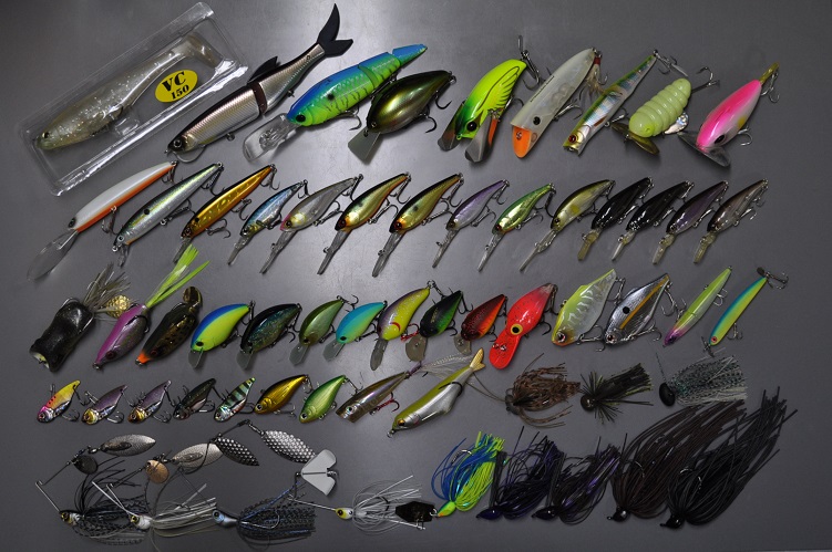 2016�N6��11�����׏��