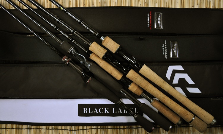 2016�N6��29�����׏��