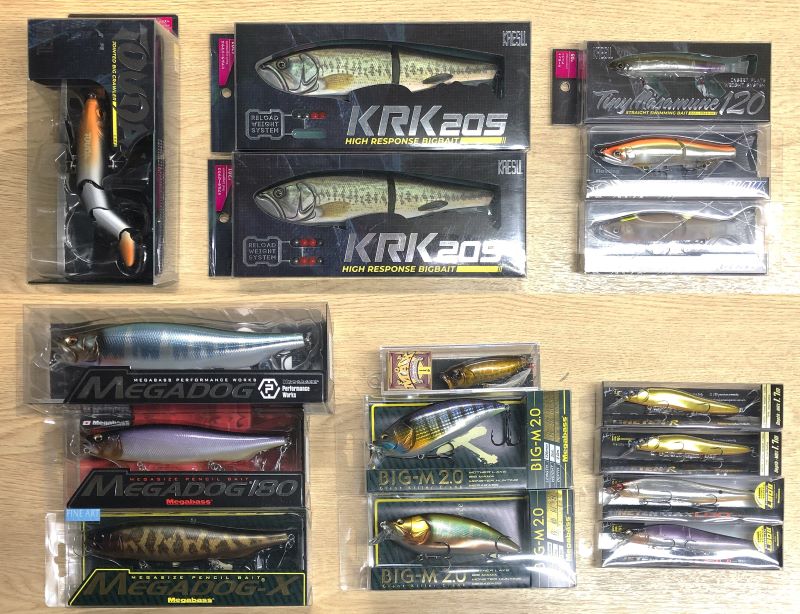 2025�N1��11�����׏��