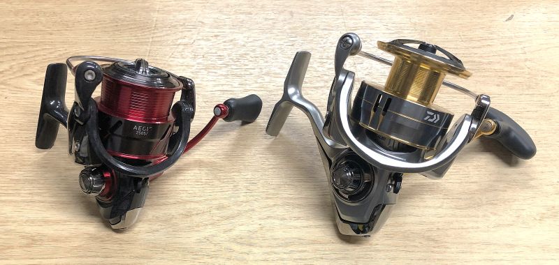 2025�N2��1�����׏��