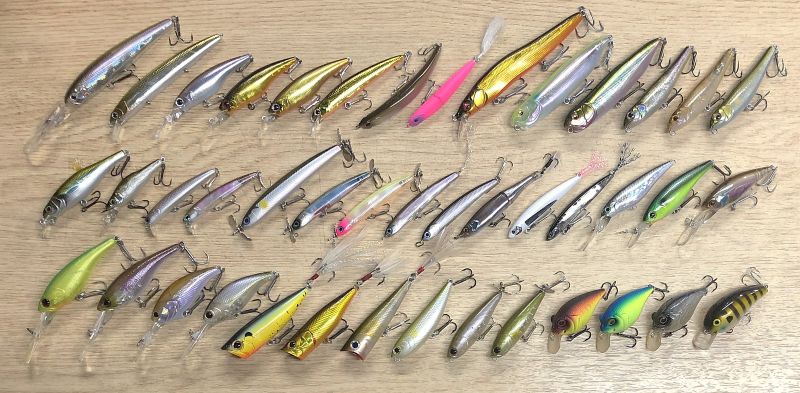 2025�N5��12�����׏��