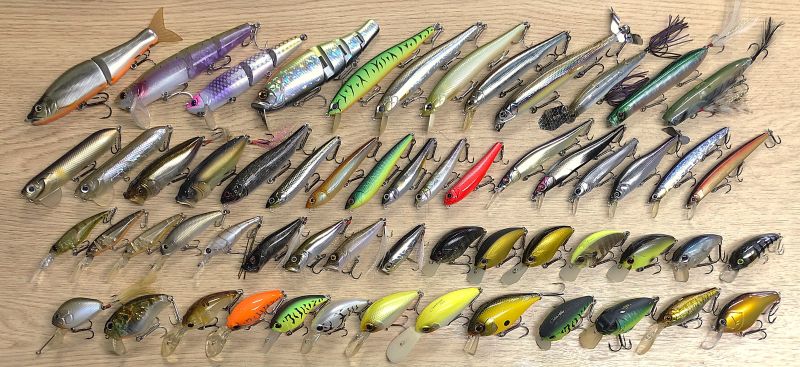 2025�N5��17�����׏��