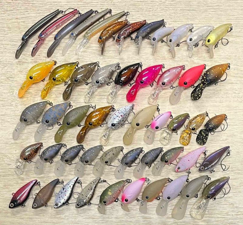 2025�N6��14�����׏��