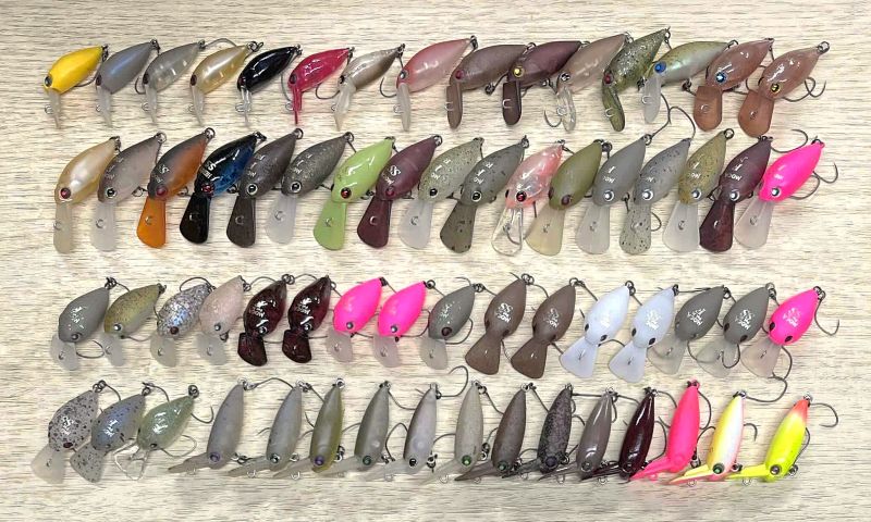 2025�N8��2�����׏��