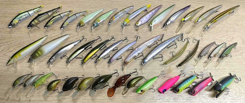 2025�N8��9�����׏��