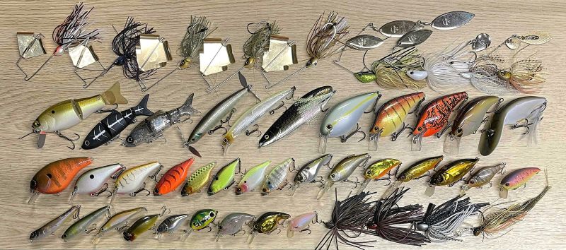 2025�N8��17�����׏��