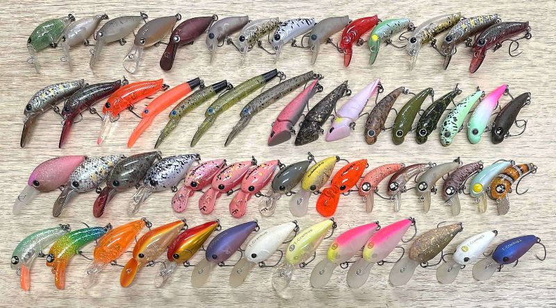 2025�N8��31�����׏��