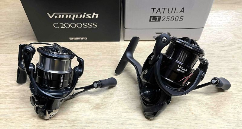 2025�N9��15�����׏��