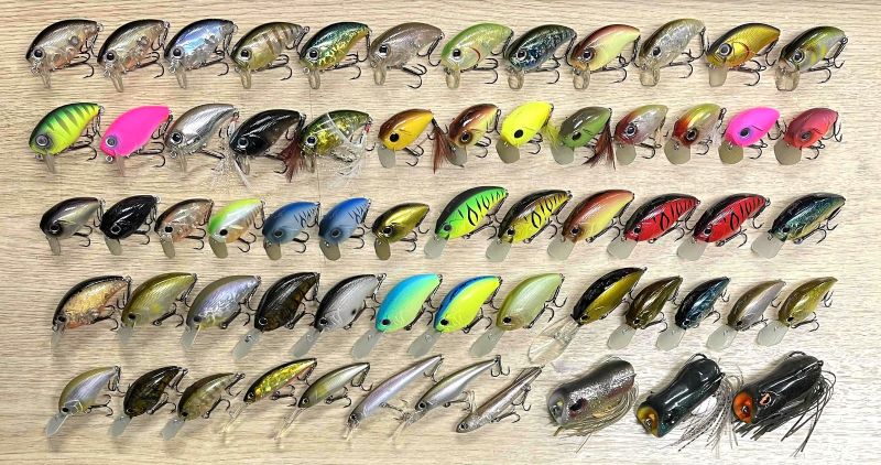 2025�N9��22�����׏��