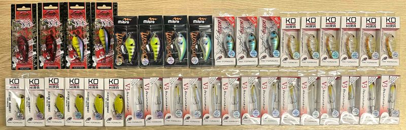 2025�N10��23�����׏��