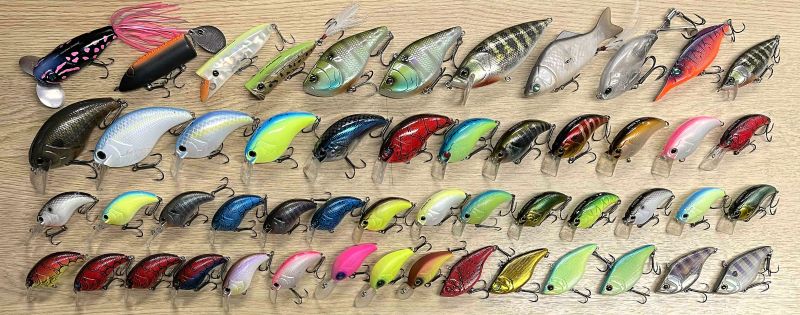 2025�N11���P�����׏��