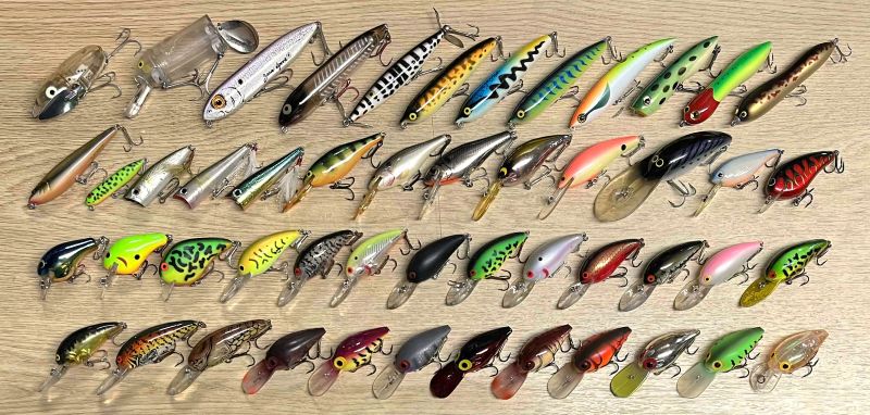 2025�N11��22�����׏��