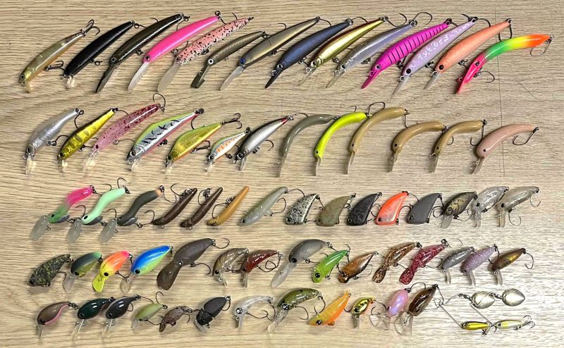 2025�N12��1�����׏��