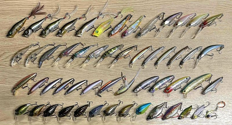 2025�N12��6�����׏��