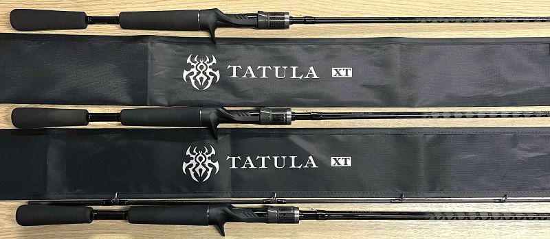 2025�N12��12�����׏��