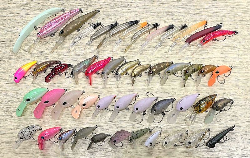 2026�N2��2�����׏��