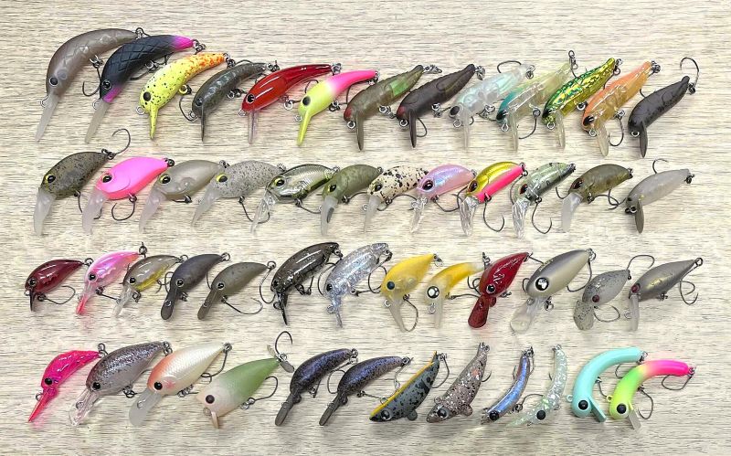 2026�N2��9�����׏��