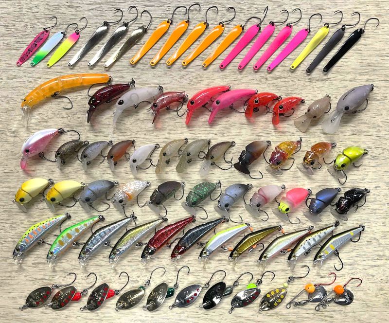 2026�N2��26�����׏��