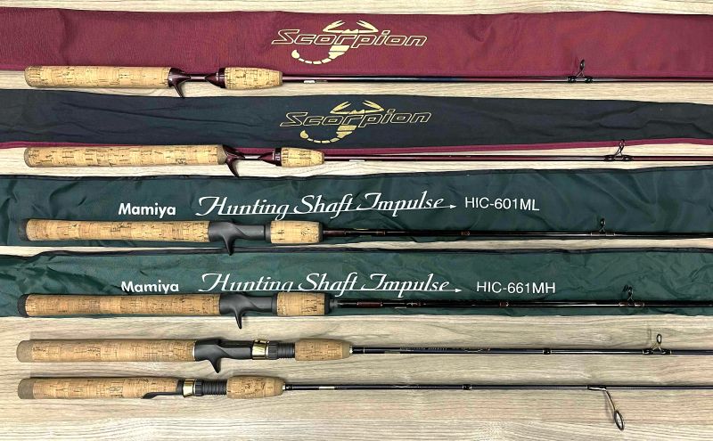 2026�N3��8�����׏��