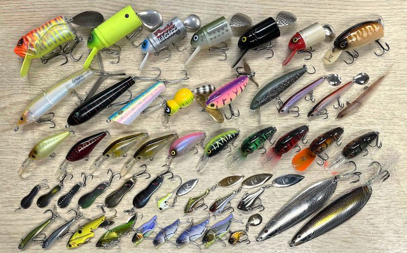 2026�N3��13�����׏��